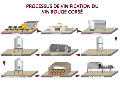 Shéma de vinification vin rouge corsé Vignobles de carsac