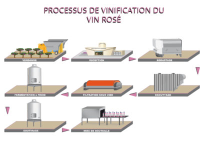 Shéma de vinification vin rosé Vignobles de carsac